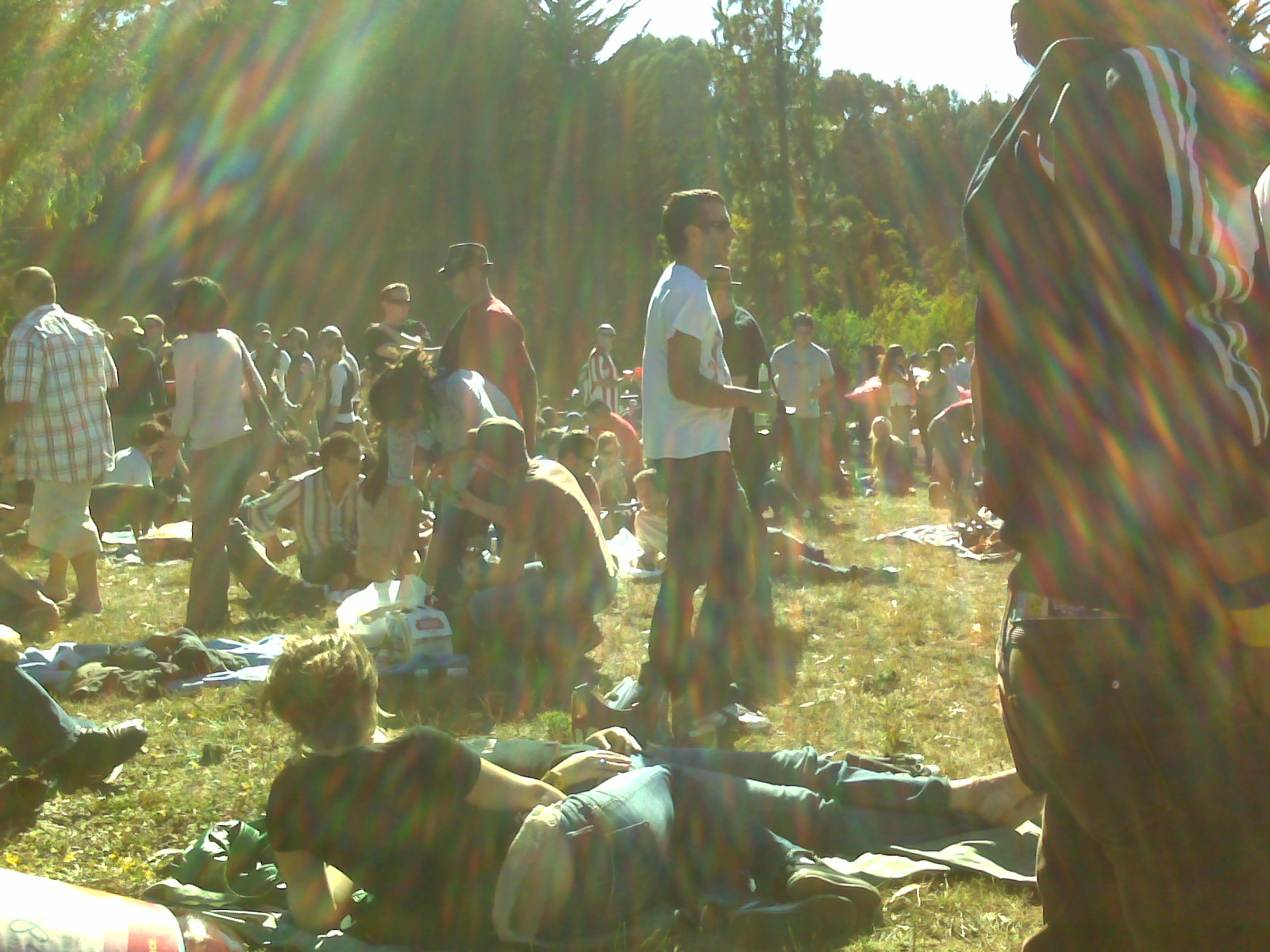 img00038.jpg
