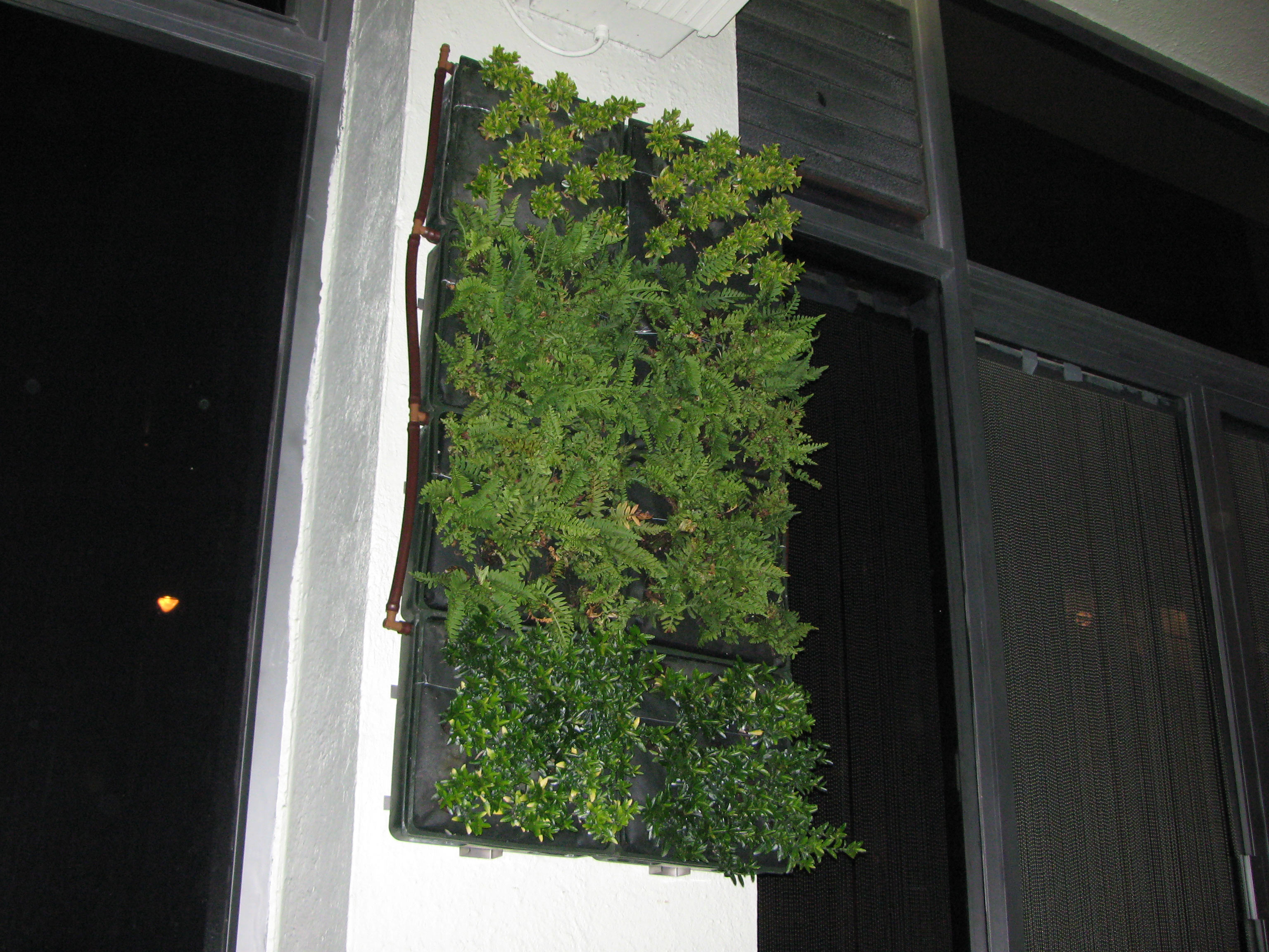 hanging garden